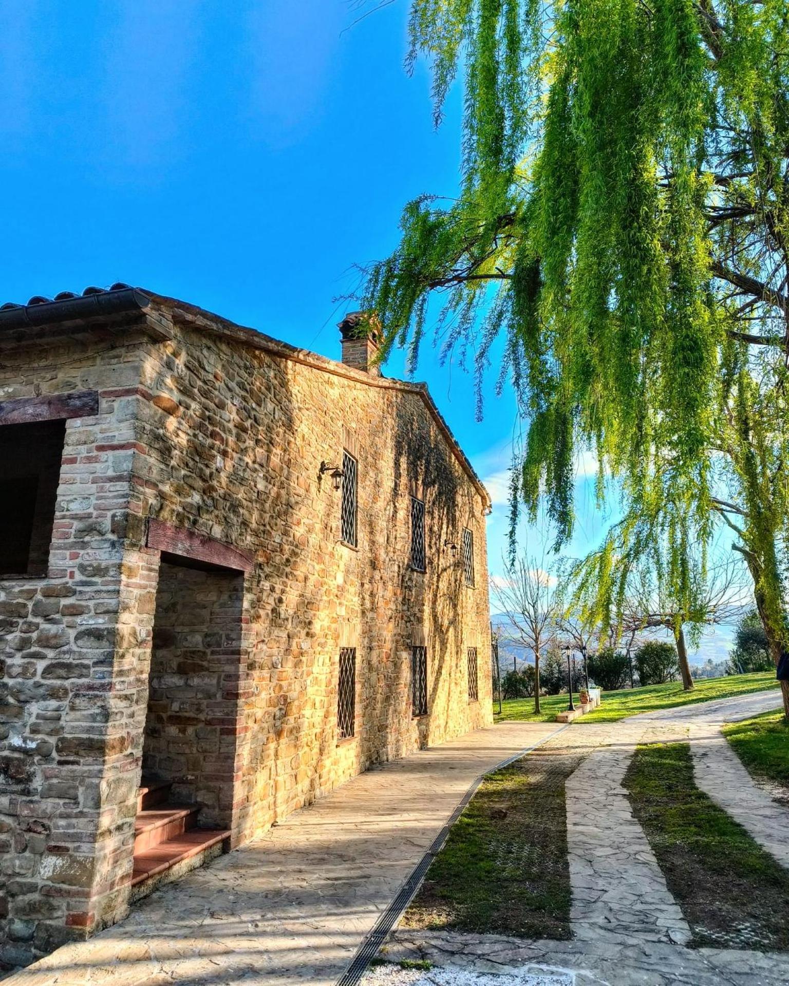 B&B Nel Vigneto Castelplanio Eksteriør billede